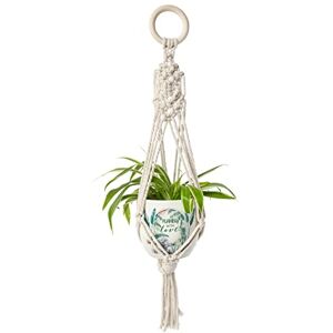 Me To You Bear Plant Pot, Grey. AGZ01157 Me To You Bear Plant Pot, Grey. AGZ01157