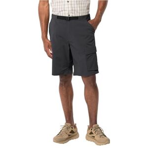 Jack Wolfskin Wanderthirst Shorts M Shorts Phantom 48 (EU) Jack Wolfskin Wanderthirst Shorts M Shorts Phantom 48 (EU)