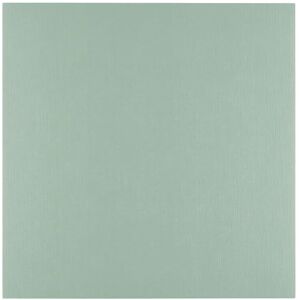Creative Labs Florence Linen Cardstock 12 x 12 inches Green (Iguana) 100 Sheets of 250 GSM Coloured Paper Card Making Supplies for Scrapbooking and Other Crafts Creative Labs Florence Linen Cardstock 12 x 12 inches Green (Iguana) 100 Sheets of 250 GSM Coloured Paper Card Making Supplies for Scrapbooking and Other Crafts
