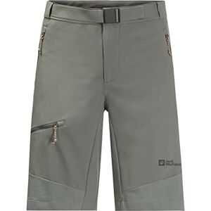 Jack Wolfskin Men's Pull Point Shorts, Gecko Green, 48 (EU) Jack Wolfskin Men's Pull Point Shorts, Gecko Green, 48 (EU)
