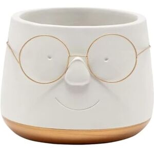 Napco Imports Napco Gold Bottom Face with Glasses White 4.5 x 4.75 Concrete Indoor Planter Pot Napco Imports Napco Gold Bottom Face with Glasses White 4.5 x 4.75 Concrete Indoor Planter Pot