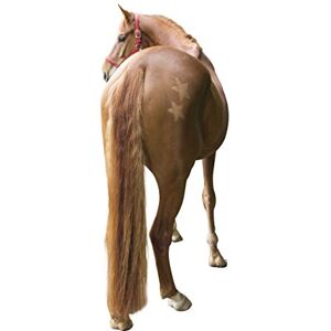 Kerbl 321900 Shearing Stencil for Horses Set of 3 Kerbl 321900 Shearing Stencil for Horses Set of 3