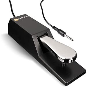 M-Audio SP-2 Universal Sustain Pedal with Piano Style Action For MIDI Keyboards, Digital Pianos and More M-Audio SP-2 Universal Sustain Pedal with Piano Style Action For MIDI Keyboards, Digital Pianos and More