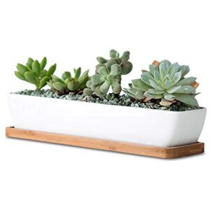 WISH HALLY WOOD 11inch Long Rectangle White Ceramic Succulent Planter Pots/Mini Flower Plant Containers with Bamboo Saucers. Product Size:11x2.36x1.77inch,not Include The Plant. (Long Rectangle) WISH HALLY WOOD 11inch Long Rectangle White Ceramic Succulent Planter Pots/Mini Flower Plant Containers with Bamboo Saucers. Product Size:11x2.36x1.77inch,not Include The Plant. (Long Rectangle)