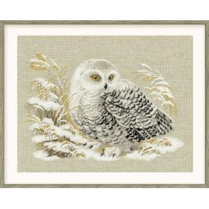 Riolis Cross Stitch Kit 1241 White Owl Riolis Cross Stitch Kit 1241 White Owl