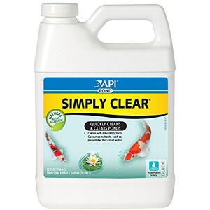 API Pond Algae Cure 946 Ml API Pond Algae Cure 946 Ml