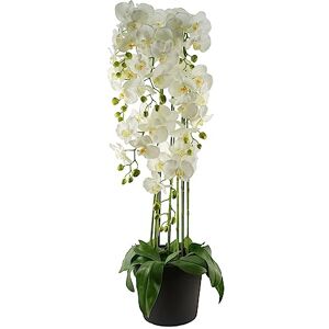 Leaf Design UK Realistic Artificial Orchid Flower Display in Pot Leaf Design UK Realistic Artificial Orchid Flower Display in Pot