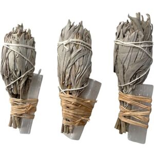 VIE Smudge Stick, Torch White Sage and Selenite 4", Pack of 3 VIE Smudge Stick, Torch White Sage and Selenite 4", Pack of 3