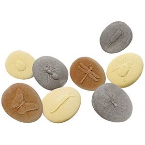 Yellow Door Let's Investigate – Bugs Minibeast, Insect science toys Early educational learning STEM kids age 2,3,4,5 Messy Play Outdoor toys ant, beetle, butterfly, ladybird, spider Yellow Door Let's Investigate – Bugs Minibeast, Insect science toys Early educational learning STEM kids age 2,3,4,5 Messy Play Outdoor toys ant, beetle, butterfly, ladybird, spider