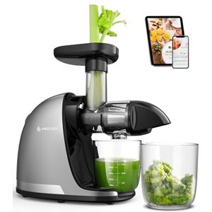 AMZCHEF Juicer Machines Cold Press Slow Juicer Masticating Juicer for Whole Fruits and Vegetables Delicate Chew No Need to Filter AMZCHEF Juicer Machines Cold Press Slow Juicer Masticating Juicer for Whole Fruits and Vegetables Delicate Chew No Need to Filter