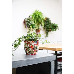 Ivyline Indoor Plant Pot Monza Tropical Parrot H15.5Cm D15.5Cm Red/Cream, One Size Ivyline Indoor Plant Pot Monza Tropical Parrot H15.5Cm D15.5Cm Red/Cream, One Size