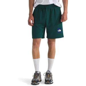 The North Face Men's Box NSE Regular Reg Shorts, Deep Nori/Estate Blue, XS The North Face Men's Box NSE Regular Reg Shorts, Deep Nori/Estate Blue, XS