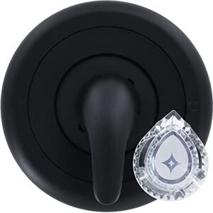 Danco 11083 Use with Moen Tub and Shower Faucets Trim Kit, Matte Black Danco 11083 Use with Moen Tub and Shower Faucets Trim Kit, Matte Black