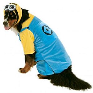 Rubies Rubie's unisex adult Official Rubie s Minion Pet Dog Costume Big Dog Size XXXL, Multicolor, XXL UK Rubies Rubie's unisex adult Official Rubie s Minion Pet Dog Costume Big Dog Size XXXL, Multicolor, XXL UK