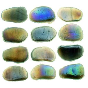 Glorex Glass Décor Mosaic 300 g, Grey, 9 x 9 x 5.5 cm Glorex Glass Décor Mosaic 300 g, Grey, 9 x 9 x 5.5 cm