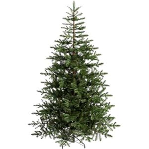 WeRChristmas Nordmann Fir Christmas Tree 7 feet/2.1 m, Green WeRChristmas Nordmann Fir Christmas Tree 7 feet/2.1 m, Green