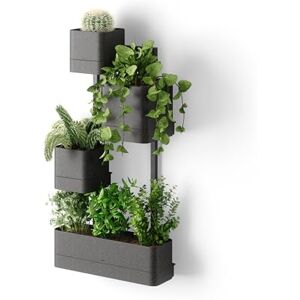 Umbra Modern and Contemporary Wall Planter, Polypropylene (PP), Black, 4 pots Umbra Modern and Contemporary Wall Planter, Polypropylene (PP), Black, 4 pots