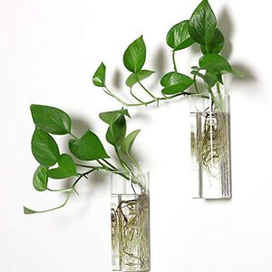 PACDONA 2 Pack Wall Hanging Planters Glass Terrariums Rectangle Shape Plants Holders Air Plants Succulents Planters Flowers Glass Wall Vase Containers for Plant, Decoration and Display PACDONA 2 Pack Wall Hanging Planters Glass Terrariums Rectangle Shape Plants Holders Air Plants Succulents Planters Flowers Glass Wall Vase Containers for Plant, Decoration and Display