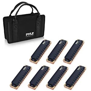 Pyle Professional Brass Metal Covered 10 Hole 7 Piece Diatonic Harmonica Kit Blues Harp Set Includes Storage Case and Polishing Cloth Key of C -Great for Pro, Beginner Lessons or Band PHARM48ST Pyle Professional Brass Metal Covered 10 Hole 7 Piece Diatonic Harmonica Kit Blues Harp Set Includes Storage Case and Polishing Cloth Key of C -Great for Pro, Beginner Lessons or Band PHARM48ST