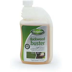 Blagdon Pond Duckweed Buster, Controls Duckweed, Safe and Natural, 500ml, Treats 4,546 Litres of Pond Water Blagdon Pond Duckweed Buster, Controls Duckweed, Safe and Natural, 500ml, Treats 4,546 Litres of Pond Water