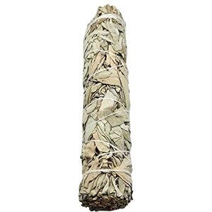 VIE Wholesale White Sage Smudge Sticks, 8", 10 Pieces VIE Wholesale White Sage Smudge Sticks, 8", 10 Pieces