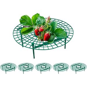 Relaxdays Strawberry Support, 100% plastic, Green, 10 x 30 cm Relaxdays Strawberry Support, 100% plastic, Green, 10 x 30 cm