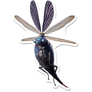 STAR CUTOUTS Ltd Billywig Cardboard Mounted Wall Standee, Multi-Colour, 72 x 5 x 72 cm STAR CUTOUTS Ltd Billywig Cardboard Mounted Wall Standee, Multi-Colour, 72 x 5 x 72 cm