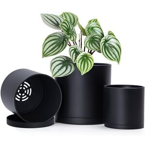 D'vine Dev 4 Inch 5 Inch 6 Inch, Set of 3 Plastic Planter Pots for Plants with Drainage Hole and Seamless Saucers, Black Color, Small, 74-E-S-2 D'vine Dev 4 Inch 5 Inch 6 Inch, Set of 3 Plastic Planter Pots for Plants with Drainage Hole and Seamless Saucers, Black Color, Small, 74-E-S-2