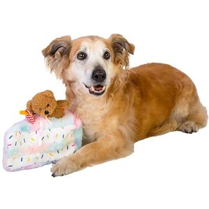 Dingo Waldemar Rutkowski Plush Toy with Teddy Bear and Birthday Hat with Squeaker on the inside, Soft and Lightweight for Interactive Dog Play (Z30045) Dingo Waldemar Rutkowski Plush Toy with Teddy Bear and Birthday Hat with Squeaker on the inside, Soft and Lightweight for Interactive Dog Play (Z30045)