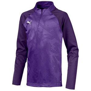 Puma CUP Training 1/4 Zip Core Sweater Prism Violet/Parachute Purple, Size 128 Puma CUP Training 1/4 Zip Core Sweater Prism Violet/Parachute Purple, Size 128