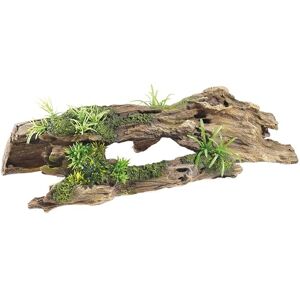 CLASSIC Driftwood Delights Driftwood & Plants Aquarium Ornament 370 x 175 x 105 mm Hand-Painted Resin Decoration for Freshwater Fish Tanks & Aquascapes CLASSIC Driftwood Delights Driftwood & Plants Aquarium Ornament 370 x 175 x 105 mm Hand-Painted Resin Decoration for Freshwater Fish Tanks & Aquascapes