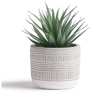 Kurrajong Farmhouse Artificial plant by 8" faux succulent in pot Fake plant for desk, bathroom or shelf Realistic greenery for indoor home decor Kurrajong Farmhouse Artificial plant by 8" faux succulent in pot Fake plant for desk, bathroom or shelf Realistic greenery for indoor home decor