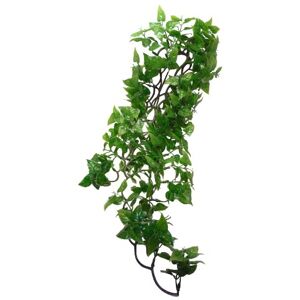 Komodo Philodendron Plant, 60 cm, Green Komodo Philodendron Plant, 60 cm, Green