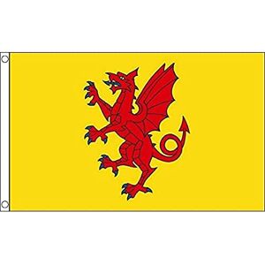 AZ FLAG Somerset New County Flag 3x5 Ft 100D Polyester County Of Somerset England Banner with Two Metal Grommets Fade Resistant Vivid Colors 3' x 5' Feet 150x90 Cm AZ FLAG Somerset New County Flag 3x5 Ft 100D Polyester County Of Somerset England Banner with Two Metal Grommets Fade Resistant Vivid Colors 3' x 5' Feet 150x90 Cm