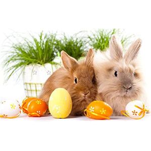 Pracht Creatives Hobby Diamond Painting Set with Easter Bunny Design and Accessories, Size Approx. 44 x 33 cm, DIY Set for Painting with Sparkling Stones for Children aged 5 Years and Above Pracht Creatives Hobby Diamond Painting Set with Easter Bunny Design and Accessories, Size Approx. 44 x 33 cm, DIY Set for Painting with Sparkling Stones for Children aged 5 Years and Above