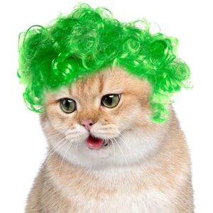 Zvn Zojne Curly Cat Wig Cat Cosplay Wig Creative Short Curly Hair, Green Pet Wigs, Cat Dress Up for Festival, Halloween and Christmas Zvn Zojne Curly Cat Wig Cat Cosplay Wig Creative Short Curly Hair, Green Pet Wigs, Cat Dress Up for Festival, Halloween and Christmas