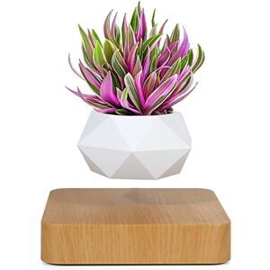 Babook Levitating Air Bonsai Pot, Rotation Flower Pot Planters, Magnetic Levitation Suspension Floating Pot, Potted Plant Home Desk Decor in Flower Pots & Planters from Home & Garden on (Light Color) Babook Levitating Air Bonsai Pot, Rotation Flower Pot Planters, Magnetic Levitation Suspension Floating Pot, Potted Plant Home Desk Decor in Flower Pots & Planters from Home & Garden on (Light Color)