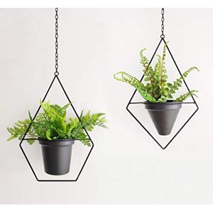 RISEON Set of 2 Boho Metal Plant Hanger,Metal Round Hanging Planter, Modern Planter, Mid Century Plant Holder, Minimalist Planter for Indoor Outdoor Home Wedding Decor (Black) RISEON Set of 2 Boho Metal Plant Hanger,Metal Round Hanging Planter, Modern Planter, Mid Century Plant Holder, Minimalist Planter for Indoor Outdoor Home Wedding Decor (Black)