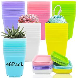 Haawooky 48 Pack 3 Inch Colorful Plastic Plant Pot,Plastic Square Nursery Pots,Seedling Nursery Pots with Saucers for Garden,Home,Office,Balcony Decor,Garden Gifts Haawooky 48 Pack 3 Inch Colorful Plastic Plant Pot,Plastic Square Nursery Pots,Seedling Nursery Pots with Saucers for Garden,Home,Office,Balcony Decor,Garden Gifts