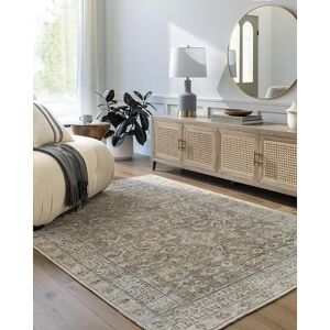 Livabliss x Becki Owens Darling Machine Washable Rug Vintage Area Rugs Living Room, Large Rug 200x275 cm Traditional Boho Style, Dining Room, Kitchen, Outdoor, Hallway Brown, Grey Livabliss x Becki Owens Darling Machine Washable Rug Vintage Area Rugs Living Room, Large Rug 200x275 cm Traditional Boho Style, Dining Room, Kitchen, Outdoor, Hallway Brown, Grey