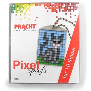 Pracht Creatives Hobby P90058-01501 Pixel Fun Craft Set for 10 Children with 10 Pixels Lockets Motif for Boys and Girls, Children's Birthday, Afternoon, Schools and Kitas Pracht Creatives Hobby P90058-01501 Pixel Fun Craft Set for 10 Children with 10 Pixels Lockets Motif for Boys and Girls, Children's Birthday, Afternoon, Schools and Kitas