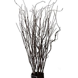 FeiLix 10PCS Artificial Branches Decorative Dry Twigs, 30.7 Inches Fake Greenery Plants Indoor Outdoor Vintage Vines/Stems for Home Garden Hotel Office Party Kitchen Decorations FeiLix 10PCS Artificial Branches Decorative Dry Twigs, 30.7 Inches Fake Greenery Plants Indoor Outdoor Vintage Vines/Stems for Home Garden Hotel Office Party Kitchen Decorations