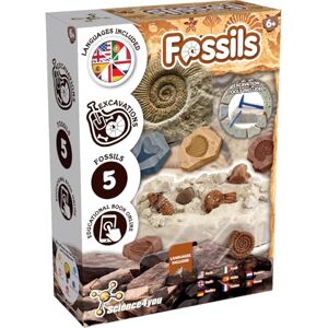 Science4you Fossil Dig Kit for Kids Age 6+ – Learn about Paleontology with this Excavation Kit, Discover All the Incredible Fossils, A Paleontology & Educational Gift for Girls & Boys Age 6 7 8 9+ Science4you Fossil Dig Kit for Kids Age 6+ – Learn about Paleontology with this Excavation Kit, Discover All the Incredible Fossils, A Paleontology & Educational Gift for Girls & Boys Age 6 7 8 9+