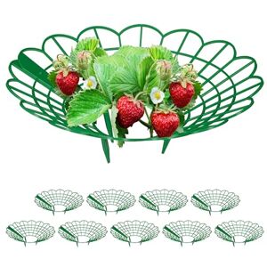 Relaxdays Strawberry Support, Set of 15, Growing Rack, Snail Protection, Plastic Plant Stand, Prevent Rot & Mould, Green, 10 x 30 cm Relaxdays Strawberry Support, Set of 15, Growing Rack, Snail Protection, Plastic Plant Stand, Prevent Rot & Mould, Green, 10 x 30 cm