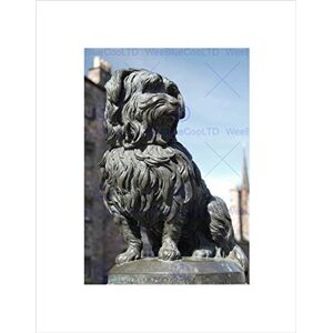 Wee Blue Coo PHOTO LANDMARK EDINBURGH SCOTLAND GREYFRIARS BOBBY SKYE TERRIER PRINT B12X8156 Wee Blue Coo PHOTO LANDMARK EDINBURGH SCOTLAND GREYFRIARS BOBBY SKYE TERRIER PRINT B12X8156