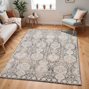 Livabliss Djelfa Vintage Area s for Living Room 200x275 cm, Bedroom Scandi Neutral, Traditional Patterned Boho Style, Natural Easy Care Pile Large, Black and Grey Livabliss Djelfa Vintage Area s for Living Room 200x275 cm, Bedroom Scandi Neutral, Traditional Patterned Boho Style, Natural Easy Care Pile Large, Black and Grey