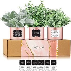 KOYAIRE 3 Motivational Faux Desk Plants for Office Rose Gold Office Decor for Women Small Desk and Home Office Accessories Desk Decorations for Women Office Pink Office Gifts for Women KOYAIRE 3 Motivational Faux Desk Plants for Office Rose Gold Office Decor for Women Small Desk and Home Office Accessories Desk Decorations for Women Office Pink Office Gifts for Women
