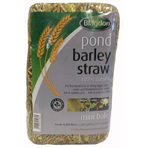 Blagdon Pond Barley Straw Bale, Small, Clears Algae, Green Water and Blanketweed, Natural, for Ponds up to 4,500 Litres Blagdon Pond Barley Straw Bale, Small, Clears Algae, Green Water and Blanketweed, Natural, for Ponds up to 4,500 Litres