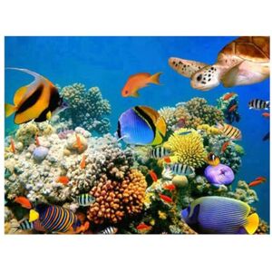 Pracht Creatives Hobby Diamond Painting Set, Picture with Underwater World and Accessories, Craft Set for Painting with Rhinestones, for Children from 5 Years Pracht Creatives Hobby Diamond Painting Set, Picture with Underwater World and Accessories, Craft Set for Painting with Rhinestones, for Children from 5 Years