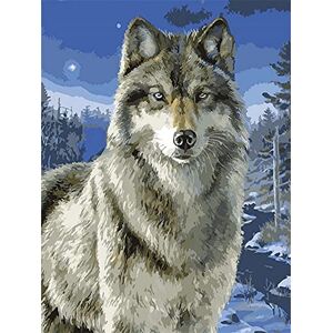 Pracht Creatives Hobby Diamond Painting Set, Picture with Wolf Motif and Accessories, Size Approx. 33 x 44 cm, Craft Set for Painting with Rhinestones for Children from 5 Years Pracht Creatives Hobby Diamond Painting Set, Picture with Wolf Motif and Accessories, Size Approx. 33 x 44 cm, Craft Set for Painting with Rhinestones for Children from 5 Years